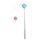 Cat Teaser Toy TT1s