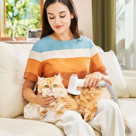 How To Build A Strong Connection With Your Pets