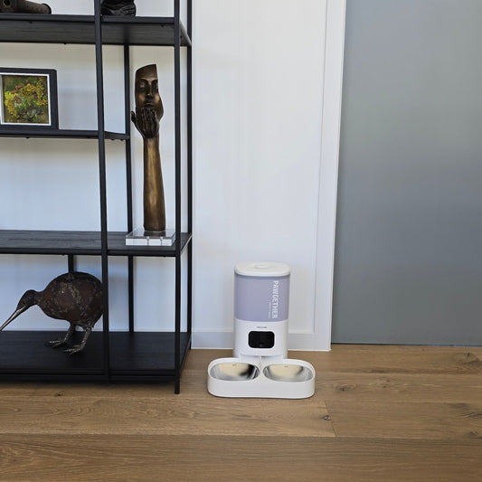 Smart Feeding: The Future of Mealtime for Kiwi Pets