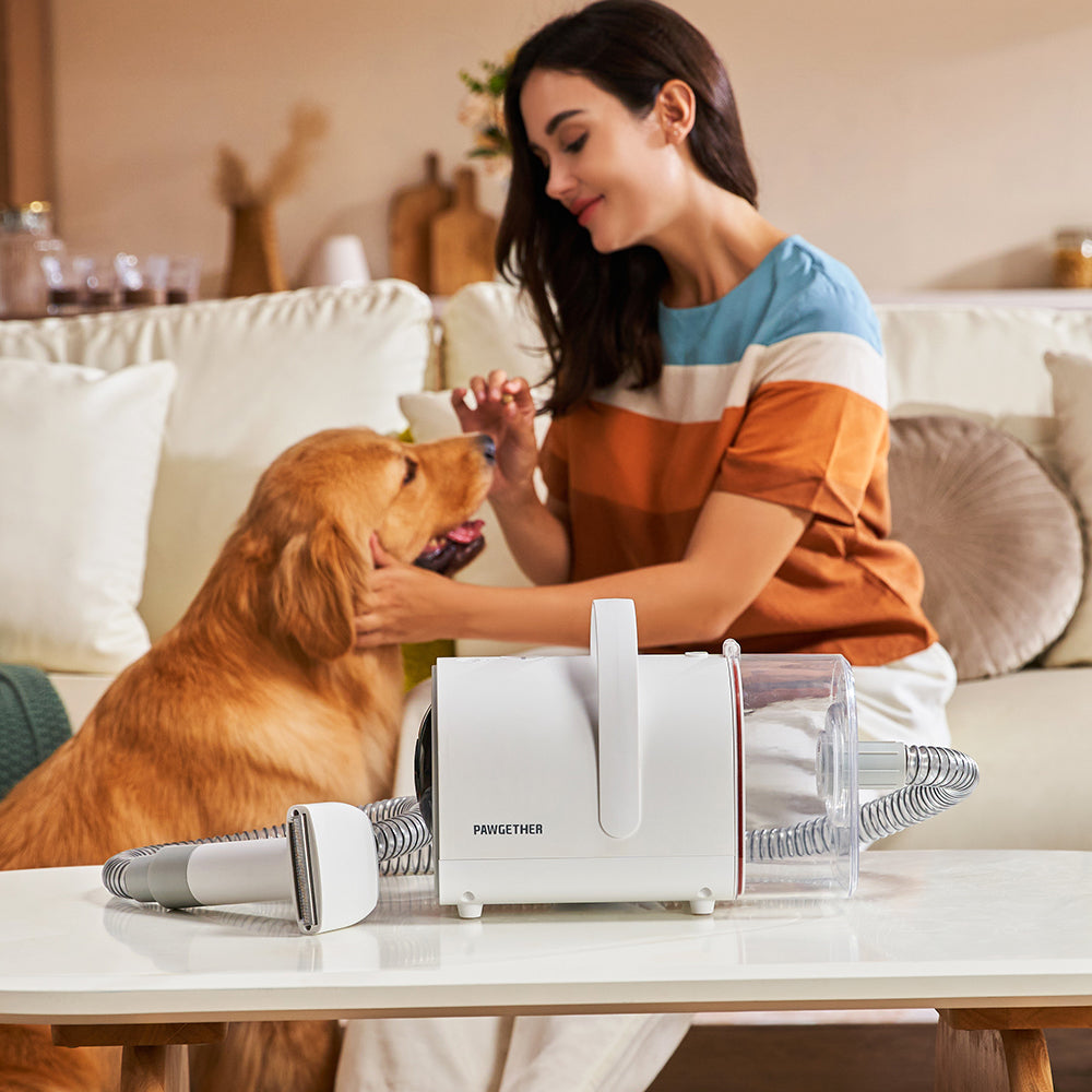 Pet Vacuum - VP1