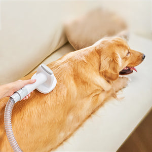 Pet Vacuum - VP1