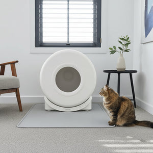 Modern interior with a smart automatic litter box placed on a carpeted floor, positioned next to a sleek black entertainment unit and dark window shutters