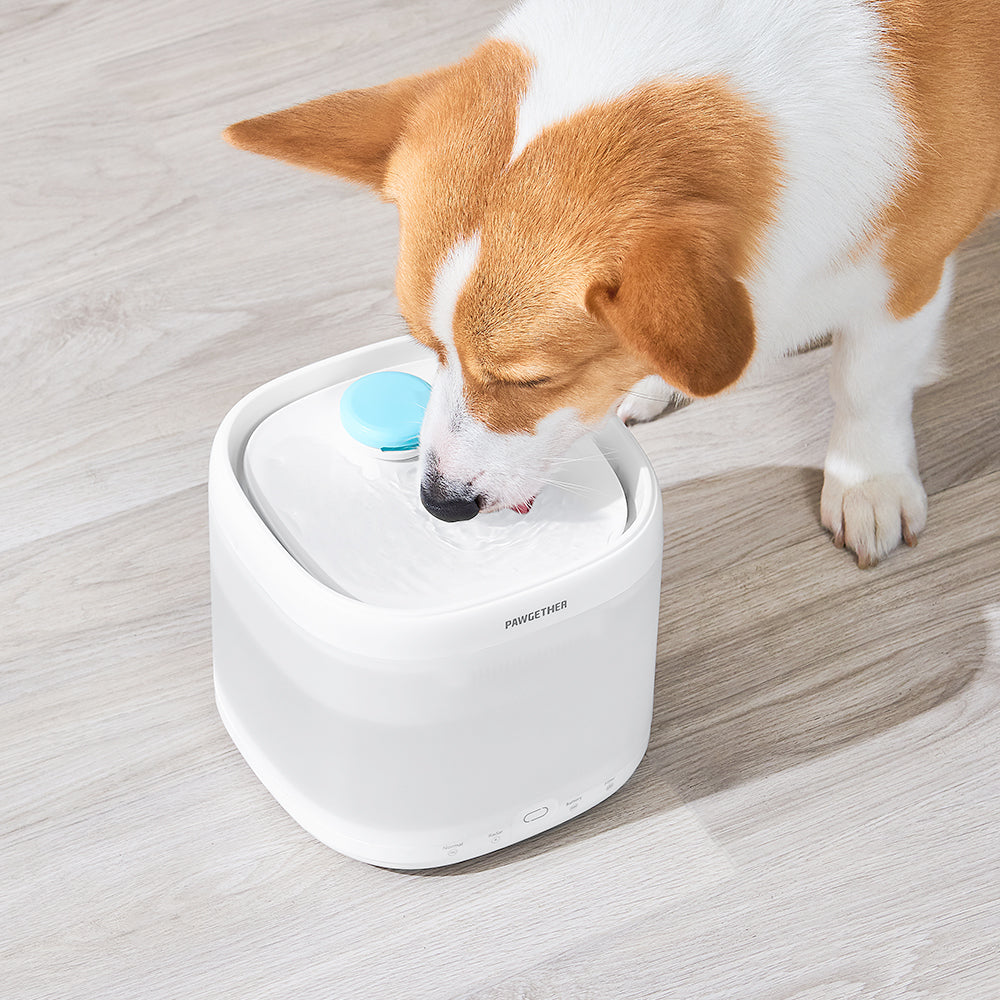 Pet Water Fountain P3
