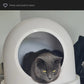 D1s Heated Pet House