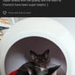 CS2 Automatic Litter Box
